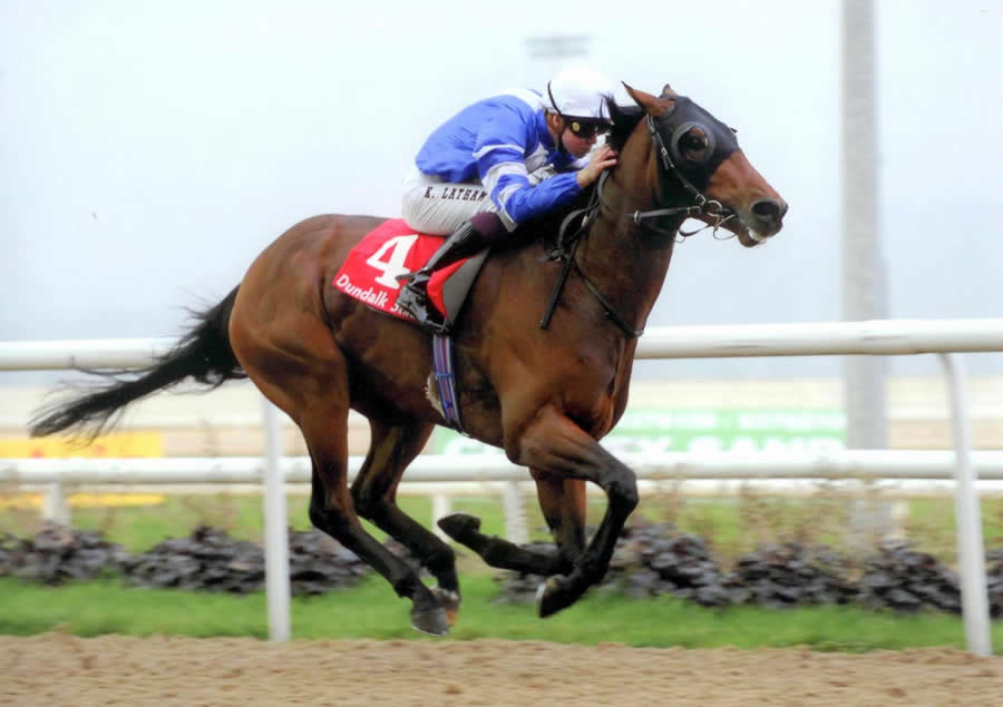 Final Recovery Dundalk Fri 8th October